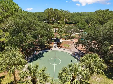 14330 Moon Flower Drive Tampa FL 33626