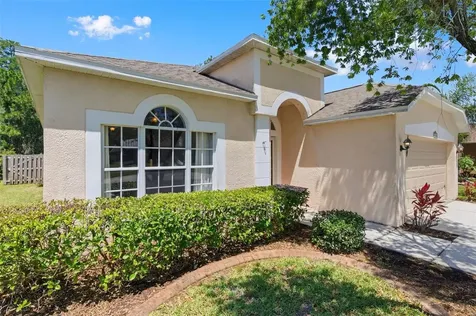 14330 Moon Flower Drive Tampa FL 33626