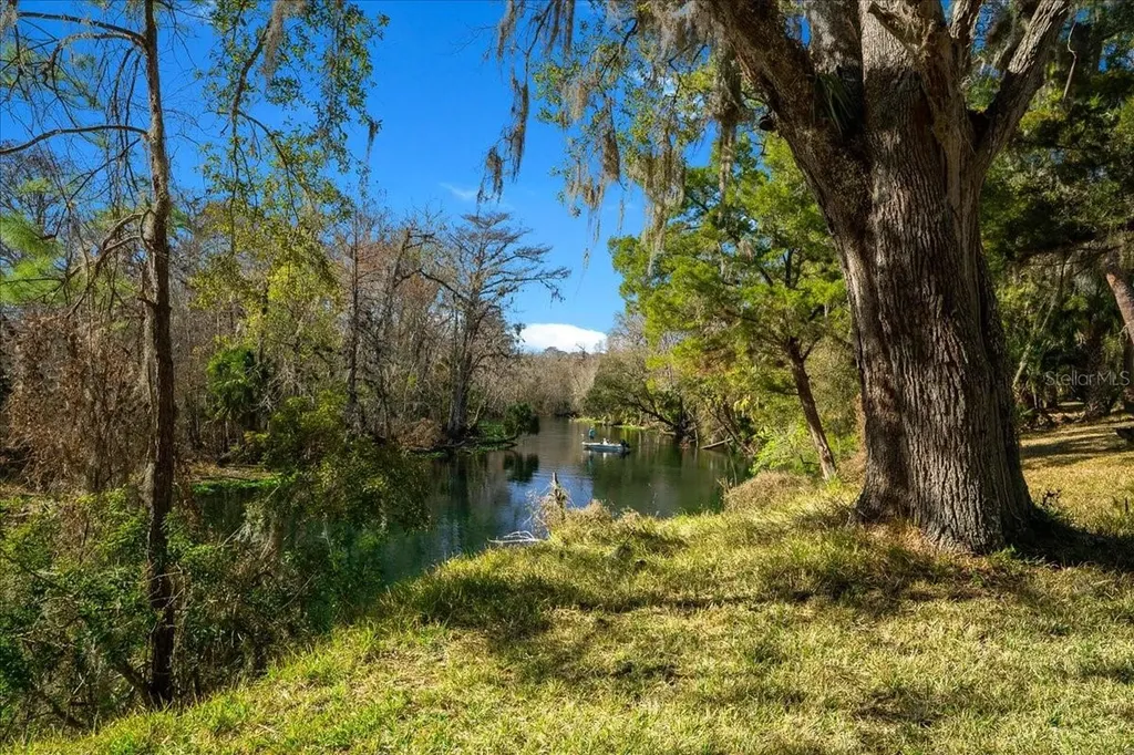 3273 NE 102nd Avenue Road Silver Springs FL 34488