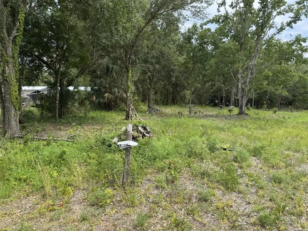 9876 Sr 60 E Lake Wales FL 33898