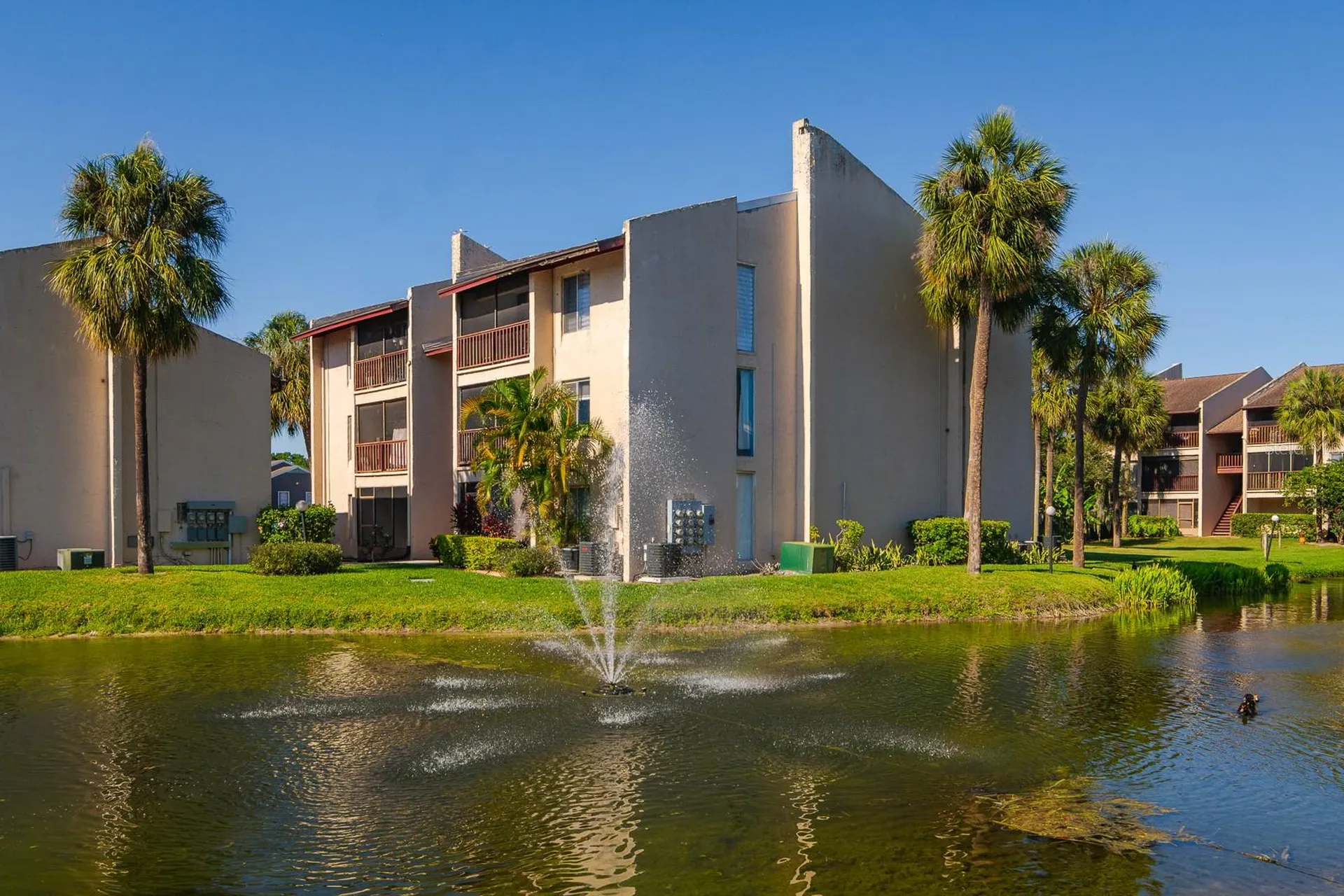 8602 Champlain Court Tampa FL 33614