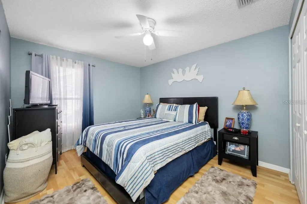 13132 Carrollwood Creek Drive Tampa FL 33624
