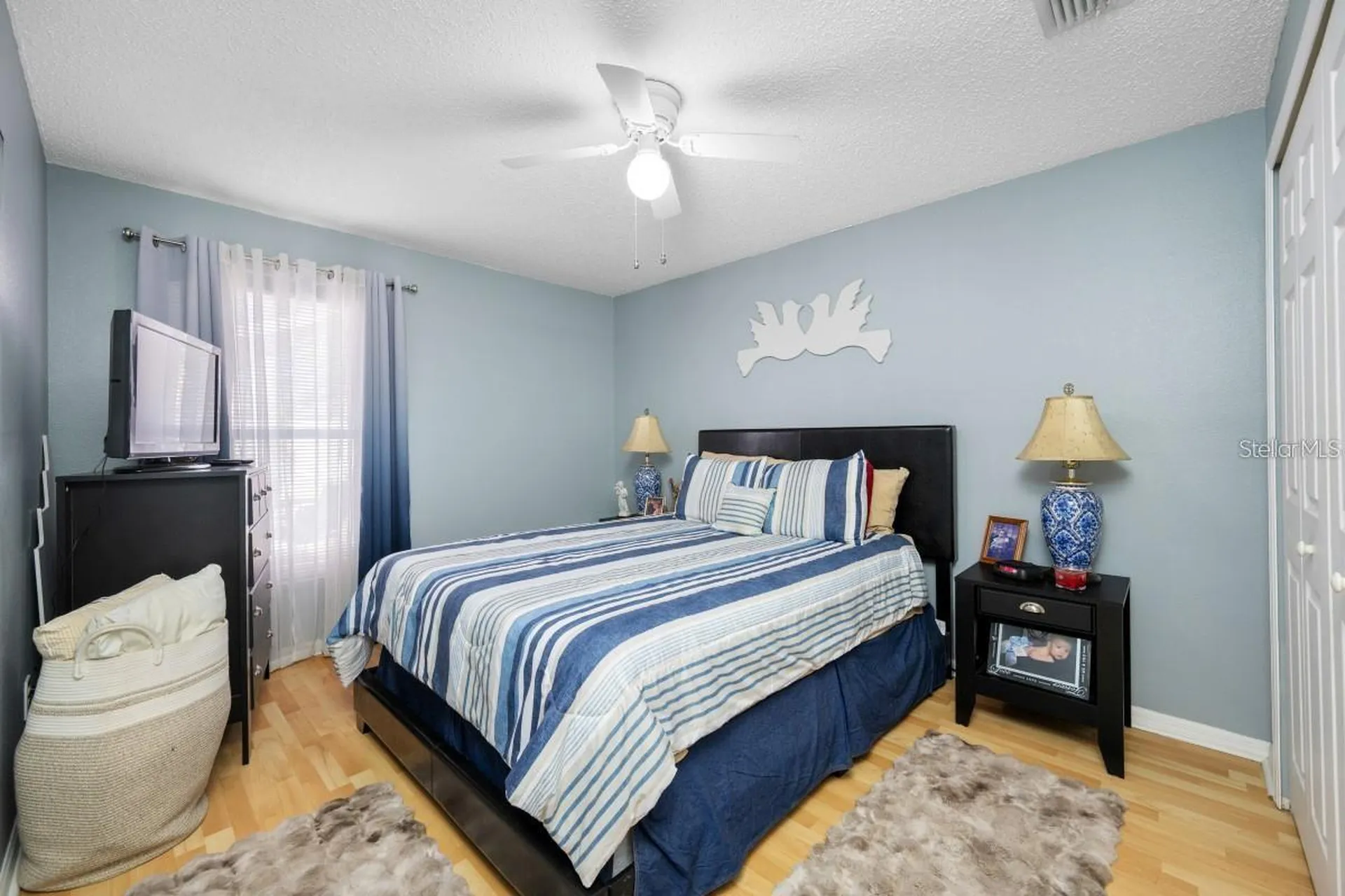 13132 Carrollwood Creek Drive Tampa FL 33624