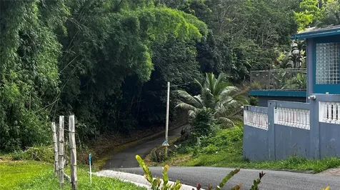 Pr 908 Km 5.1 Interior Felipe Silva Marcelino Road Humacao PR 00791