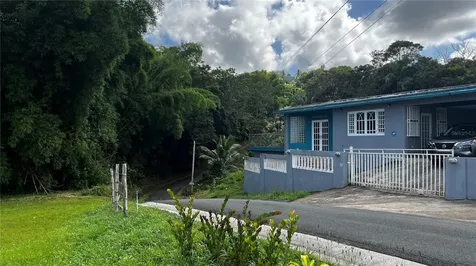 Pr 908 Km 5.1 Interior Felipe Silva Marcelino Road Humacao PR 00791