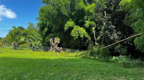 Pr 908 Km 5.1 Interior Felipe Silva Marcelino Road Humacao PR 00791