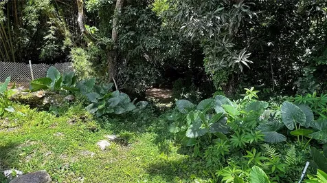 Pr 908 Km 5.1 Interior Felipe Silva Marcelino Road Humacao PR 00791