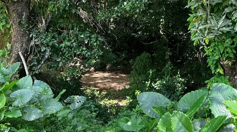 Pr 908 Km 5.1 Interior Felipe Silva Marcelino Road Humacao PR 00791