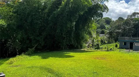Pr 908 Km 5.1 Interior Felipe Silva Marcelino Road Humacao PR 00791