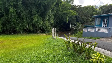 Pr 908 Km 5.1 Interior Felipe Silva Marcelino Road Humacao PR 00791