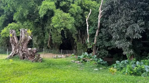Pr 908 Km 5.1 Interior Felipe Silva Marcelino Road Humacao PR 00791