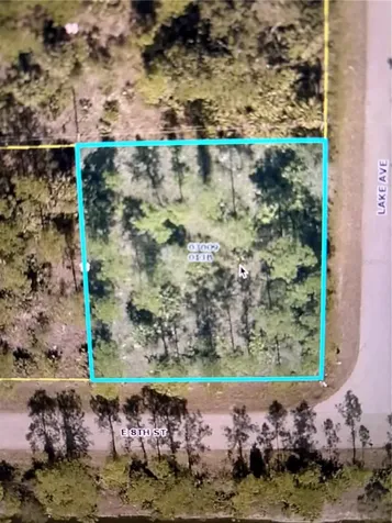 807 E 8th Street Lehigh Acres FL 33972