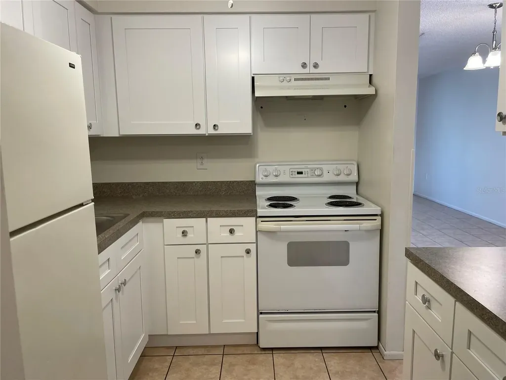 3952 Elvira Court New Port Richey FL 34655