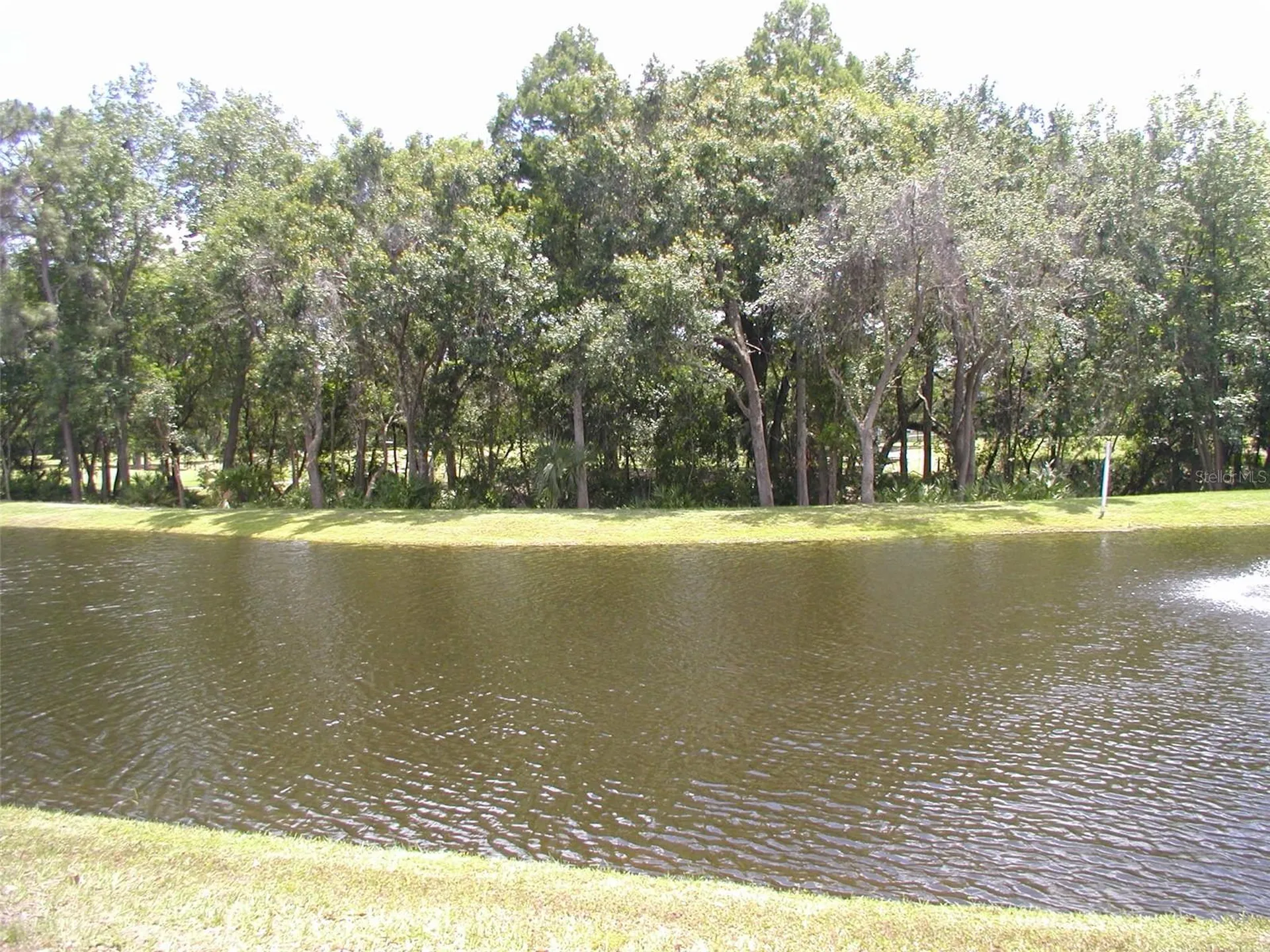 3952 Elvira Court New Port Richey FL 34655