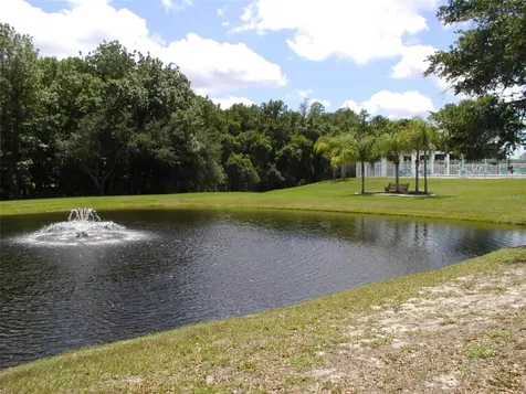 3952 Elvira Court New Port Richey FL 34655