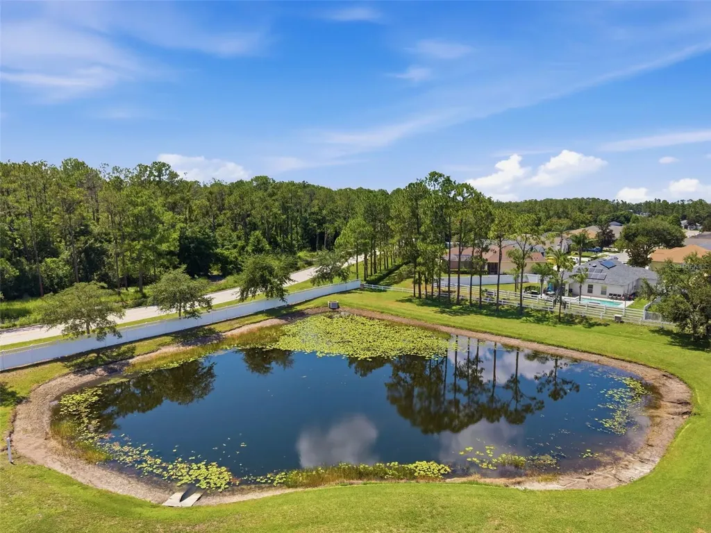 4836 Artesian Road Land O Lakes FL 34638