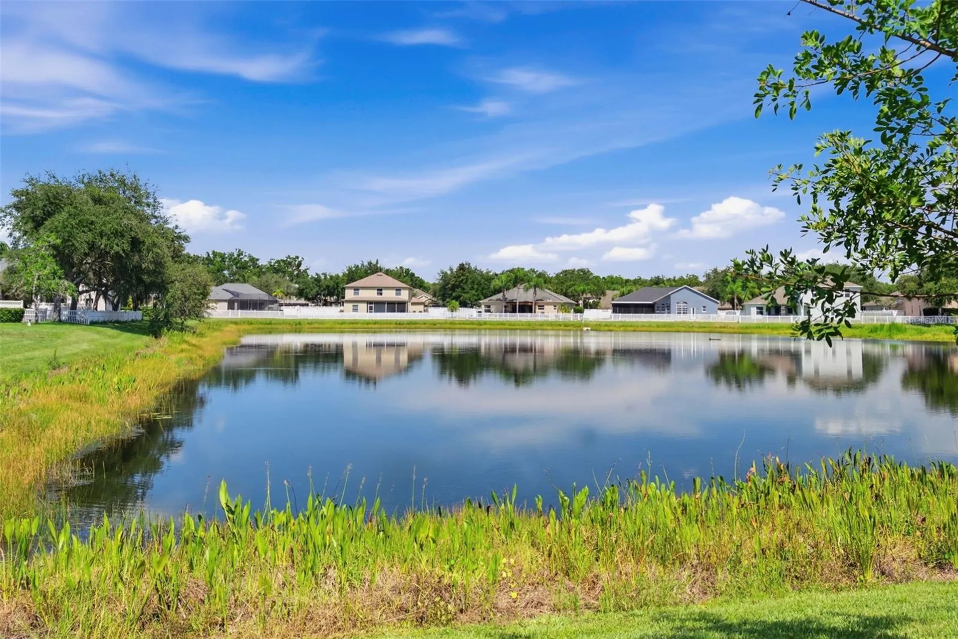 4836 Artesian Road Land O Lakes FL 34638