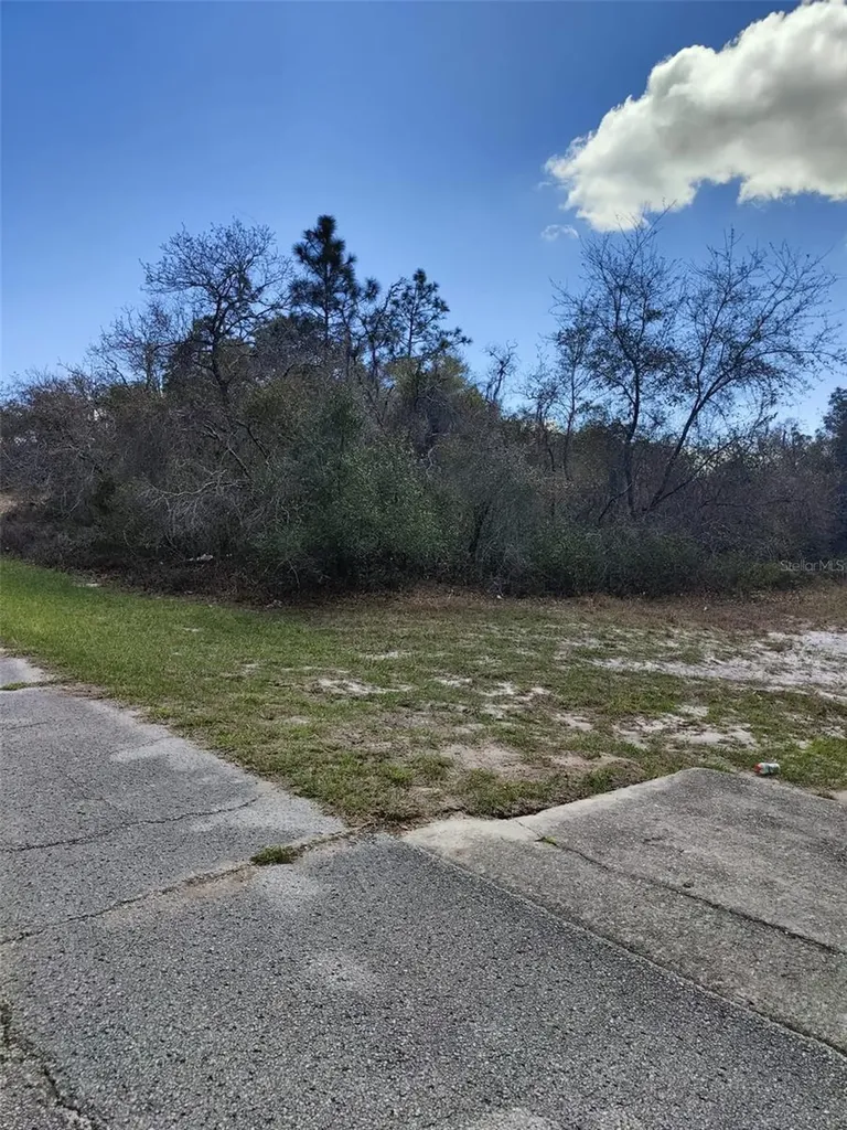 408 Vernon Court Kissimmee FL 34759