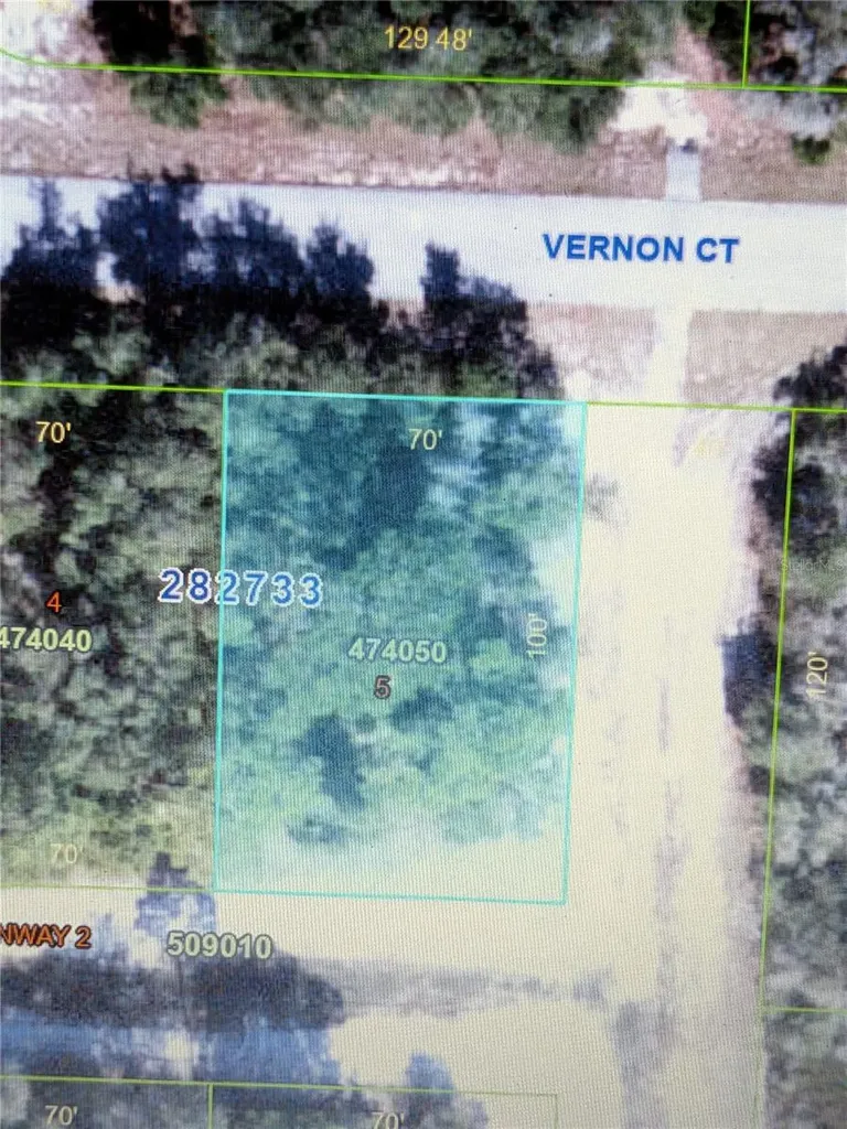 408 Vernon Court Kissimmee FL 34759