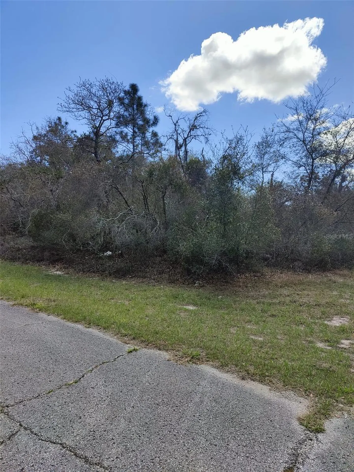 408 Vernon Court Kissimmee FL 34759