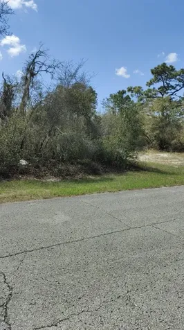408 Vernon Court Kissimmee FL 34759