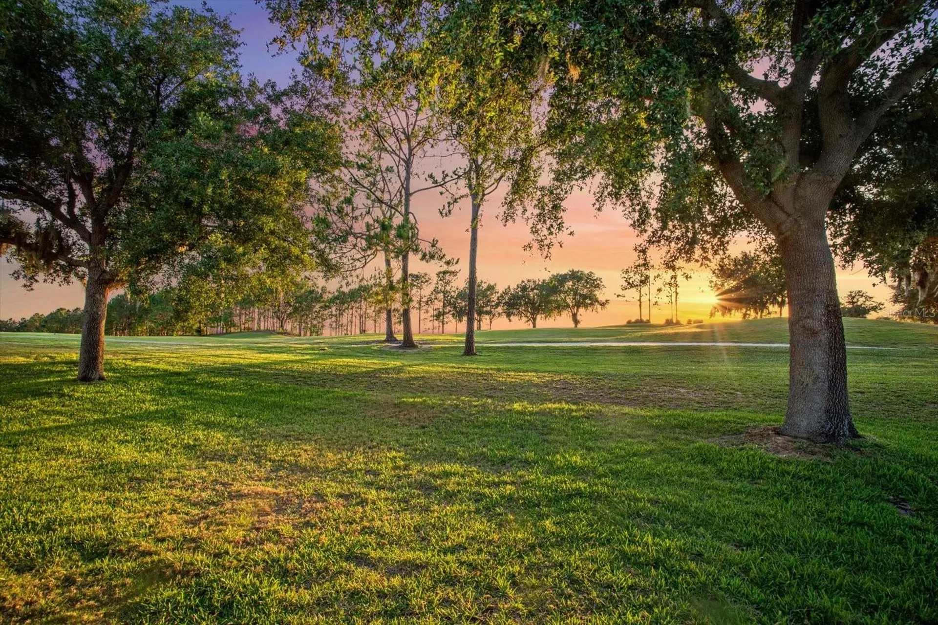 4328 Fawn Meadows Circle Clermont FL 34711