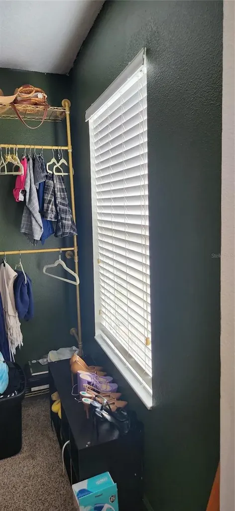 16229 Old Ash Loop Orlando FL 32828