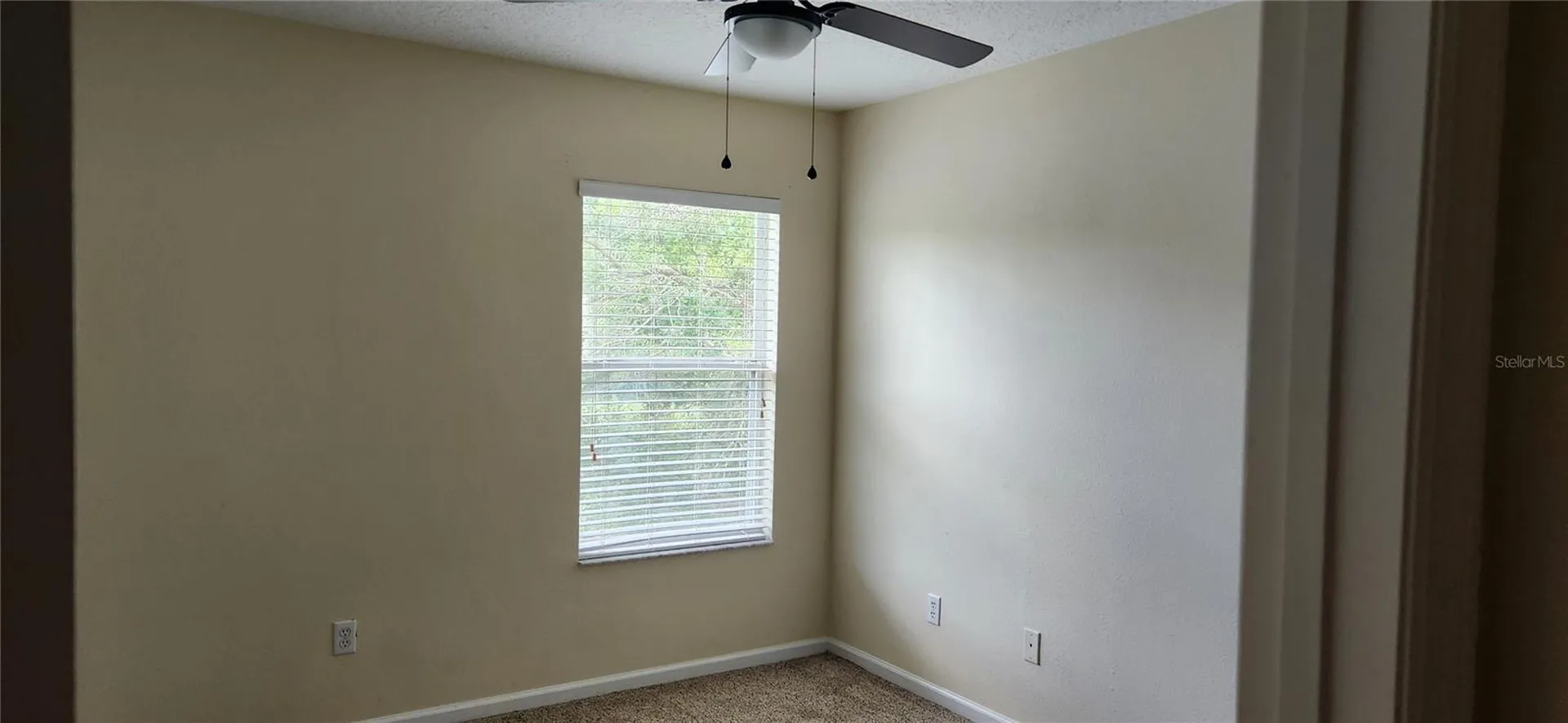 16229 Old Ash Loop Orlando FL 32828
