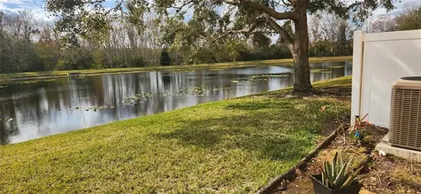 16229 Old Ash Loop Orlando FL 32828