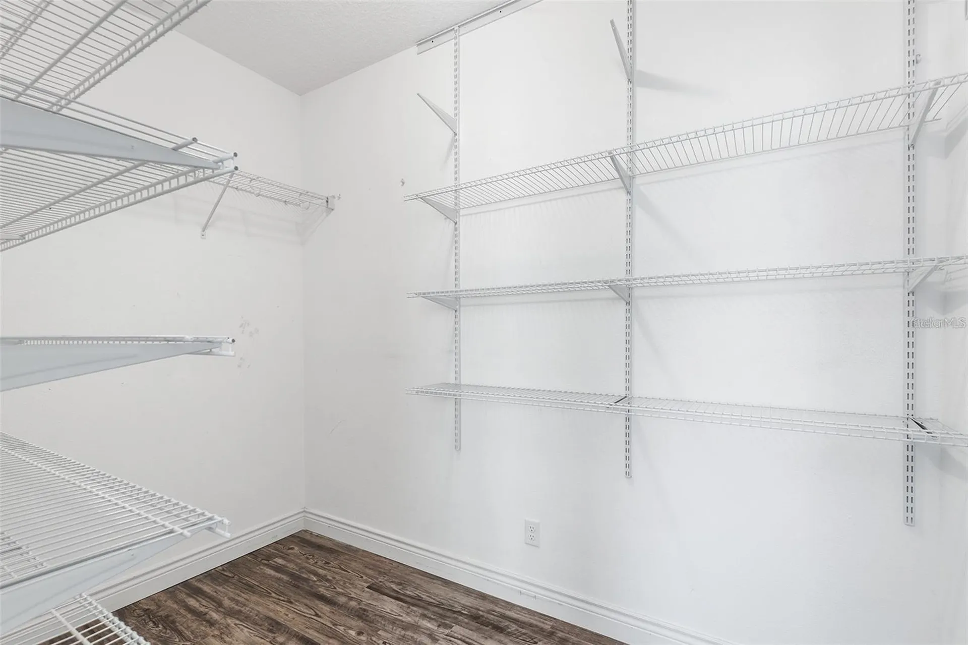 19064 Roseate Drive Lutz FL 33558