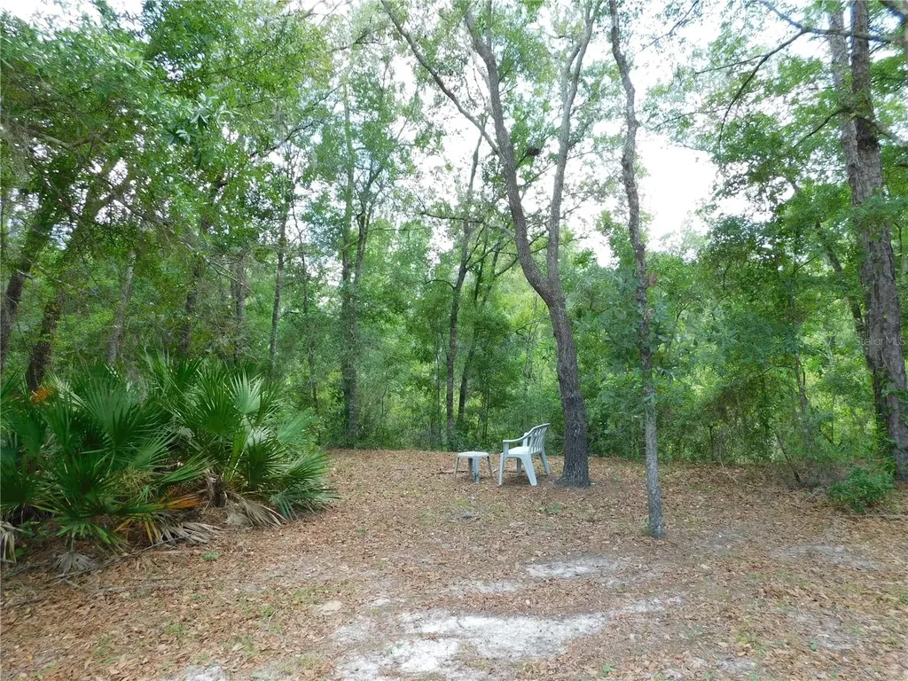7808 W Drover Street Homosassa FL 34446