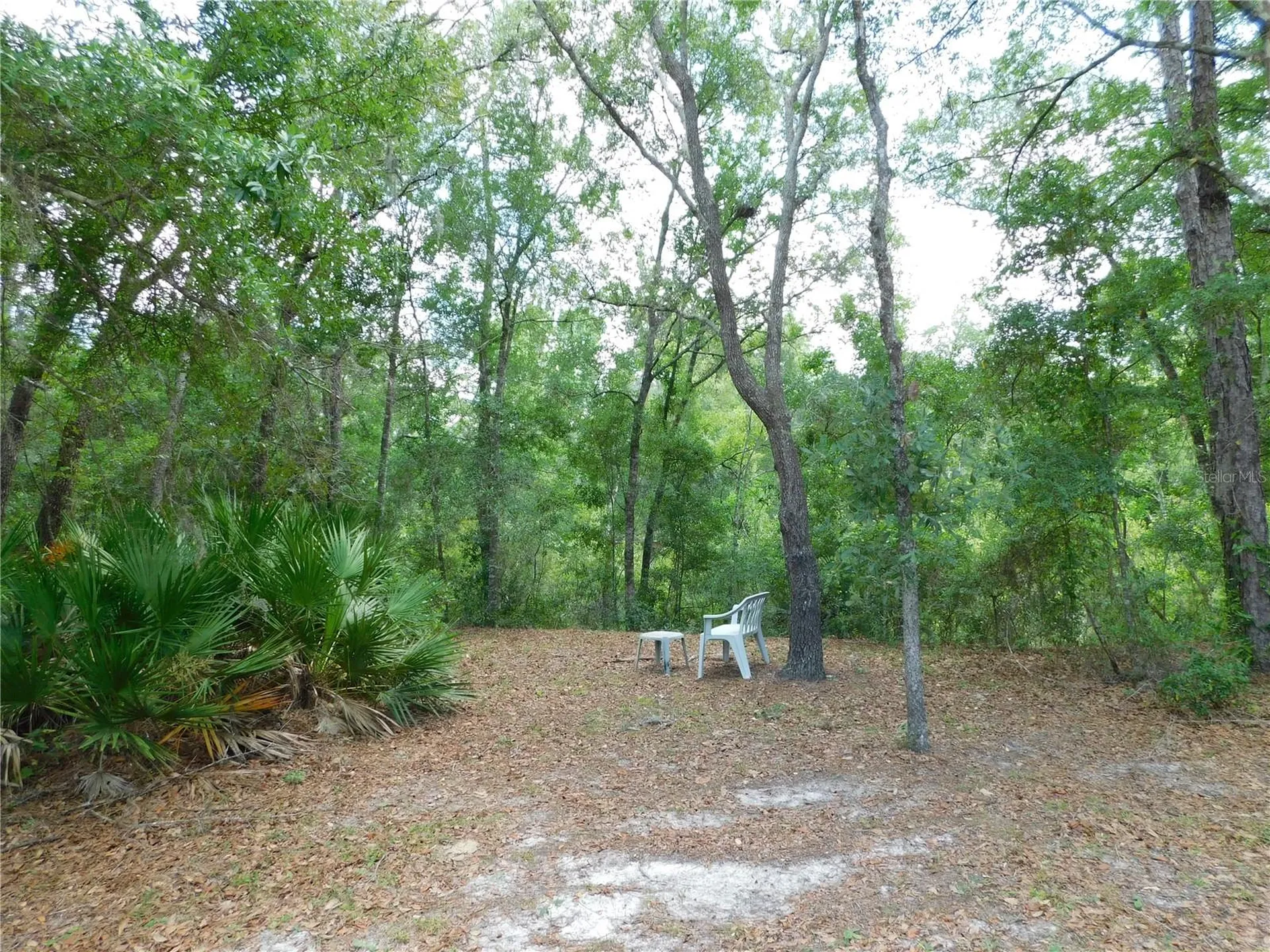 7808 W Drover Street Homosassa FL 34446