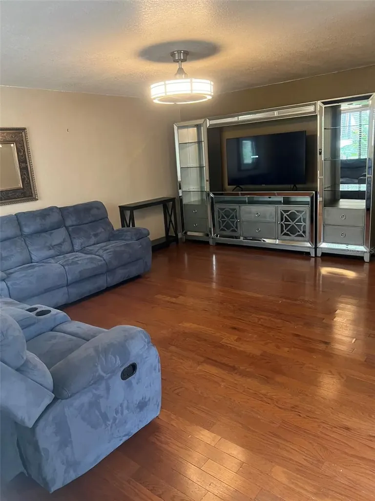 11801 Raintree Lake Lane Tampa FL 33617