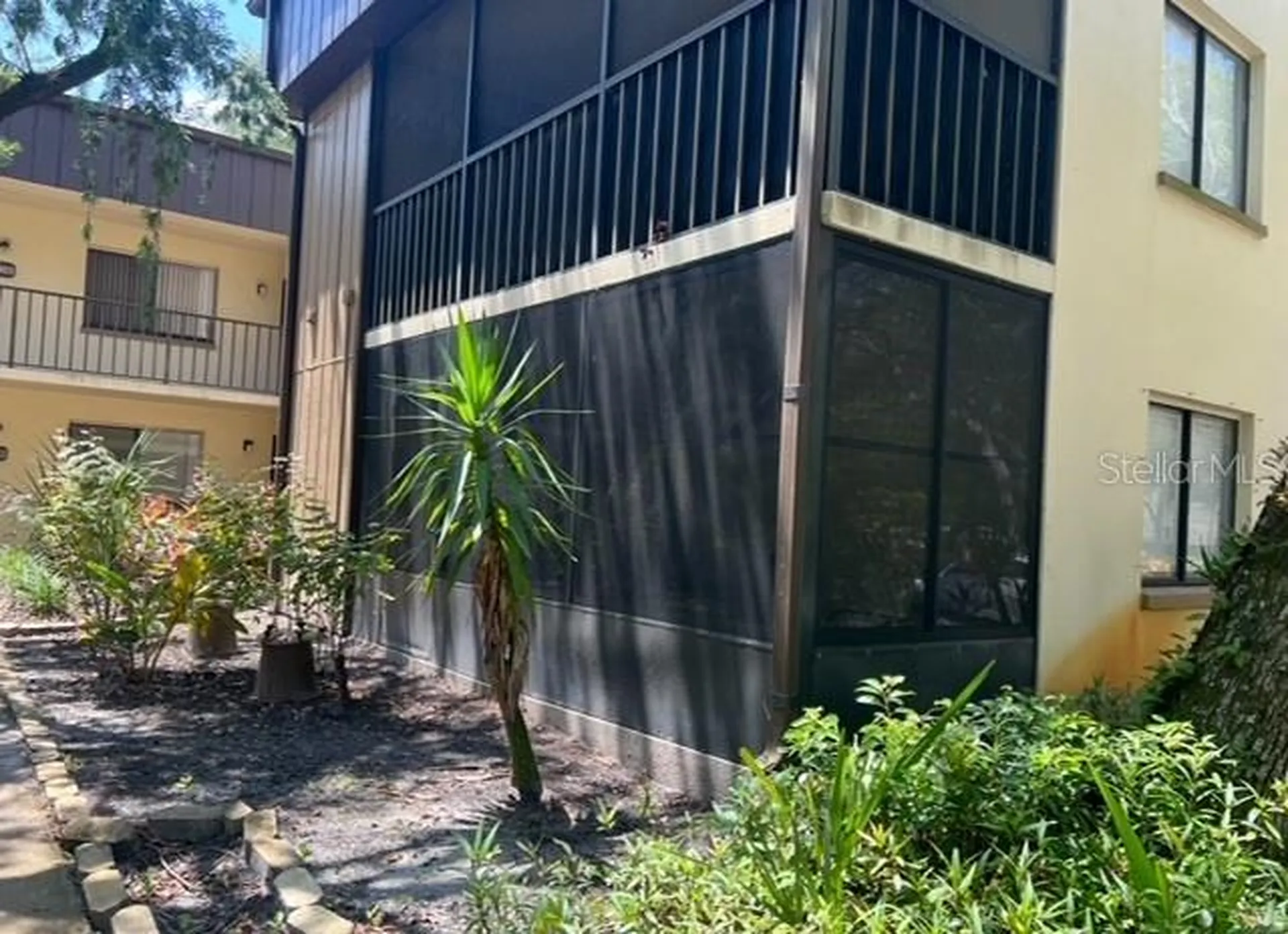 11801 Raintree Lake Lane Tampa FL 33617