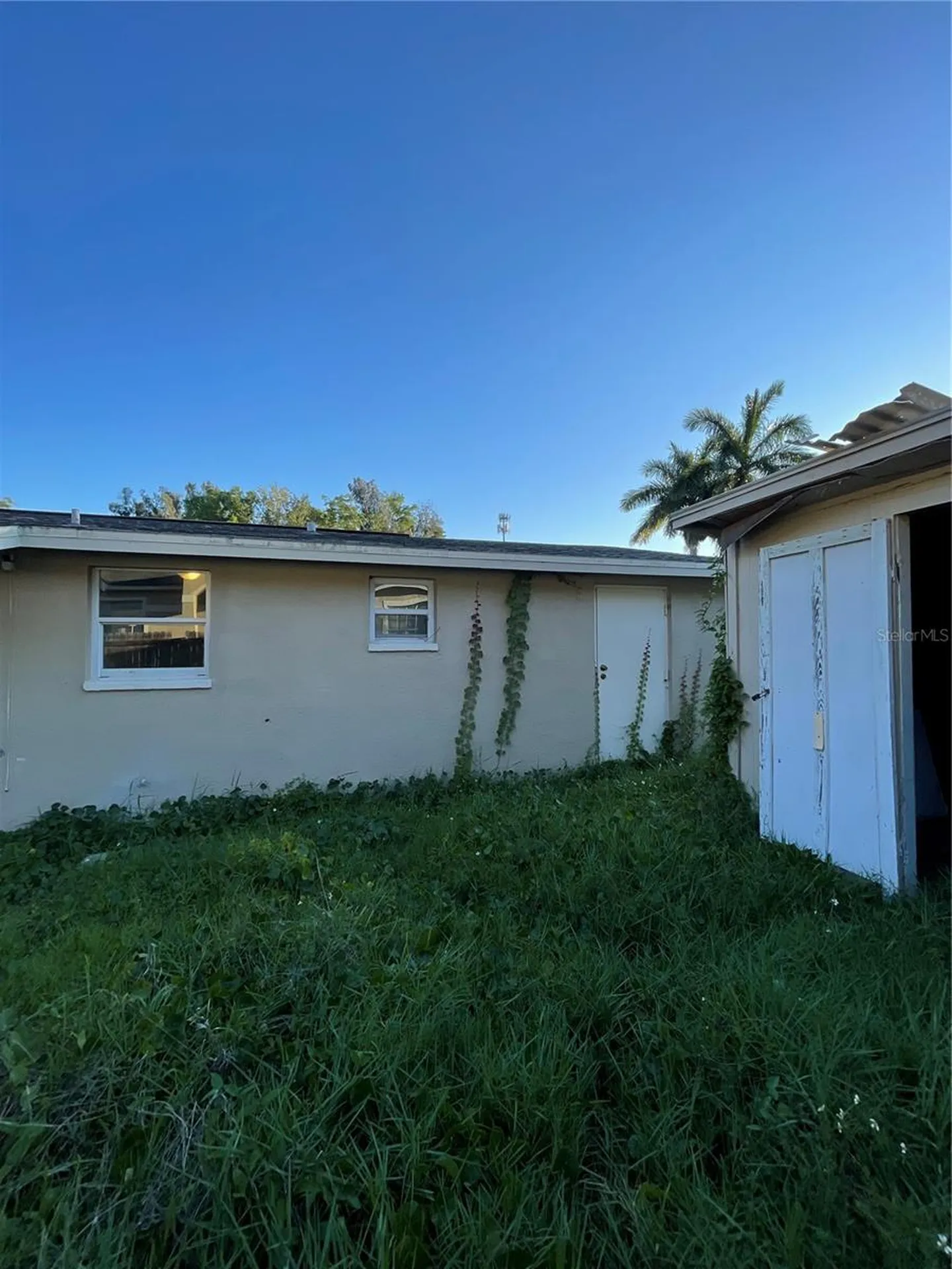10013 Oslin Street Tampa FL 33615