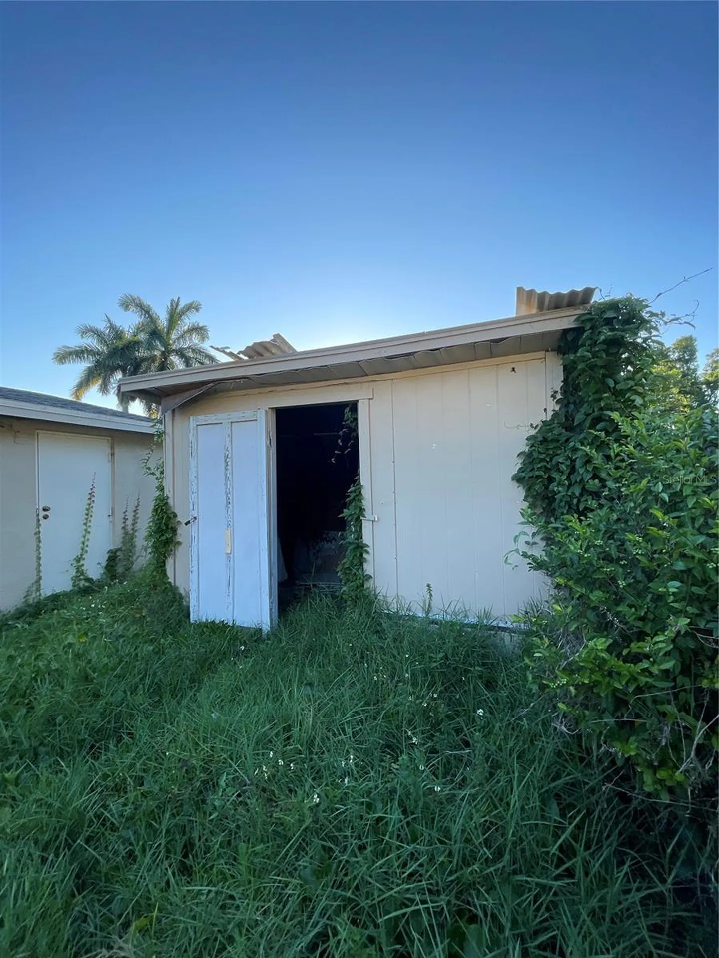 10013 Oslin Street Tampa FL 33615