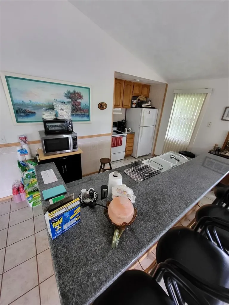 2377 NW 34th Place Lake Panasoffkee FL 33538