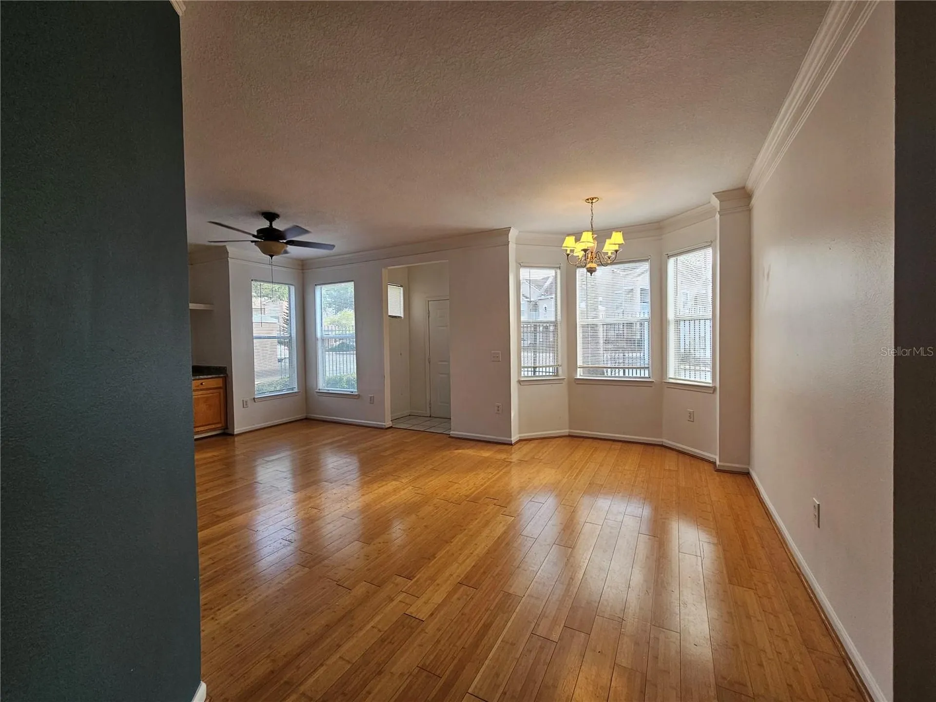 18058 Villa Creek Drive Tampa FL 33647