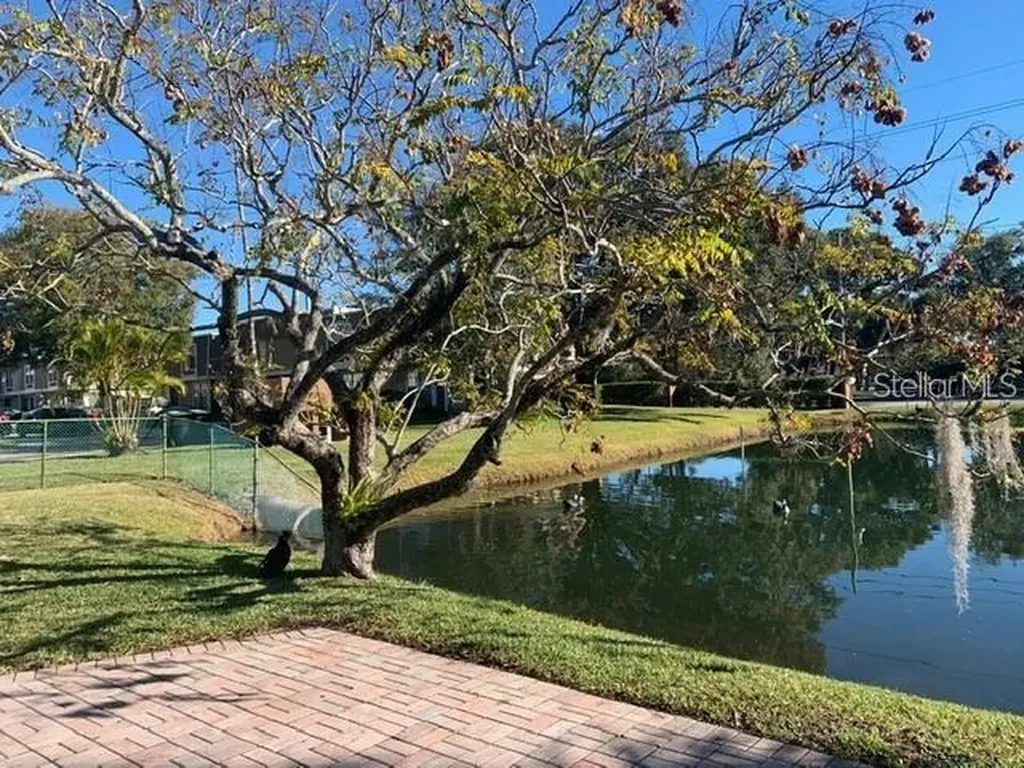 6043 Village Circle Orlando FL 32822