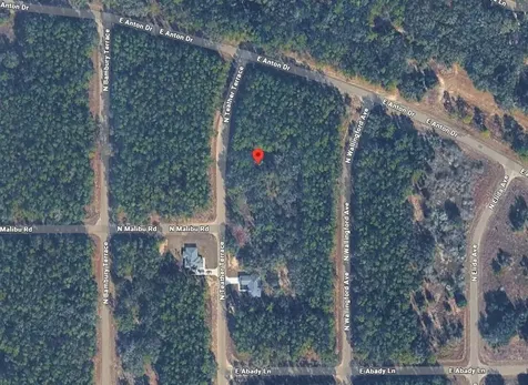 8881 N Teather Terrace Dunnellon FL 34434