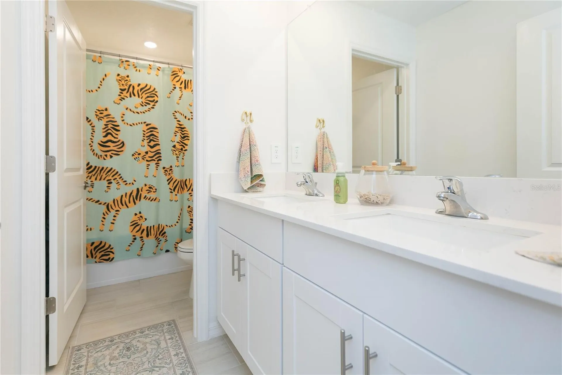17703 Happytrails Street Land O Lakes FL 34638