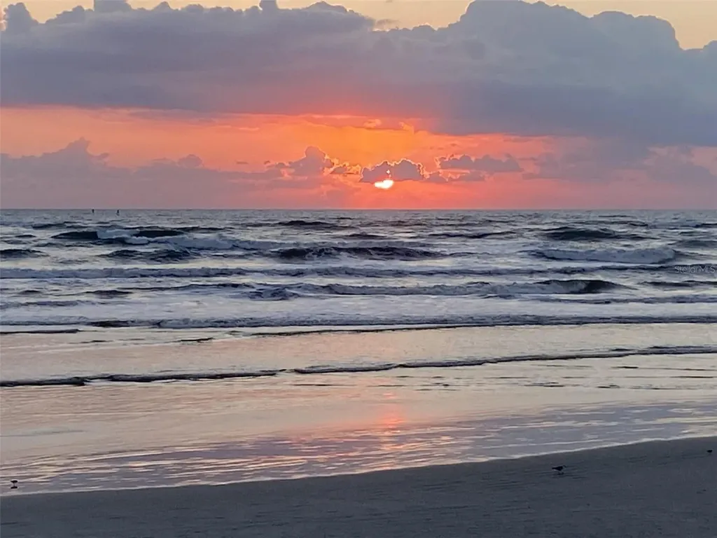 257 Minorca Beach Way New Smyrna Beach FL 32169