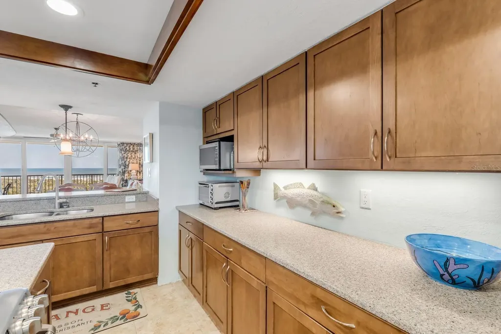 257 Minorca Beach Way New Smyrna Beach FL 32169