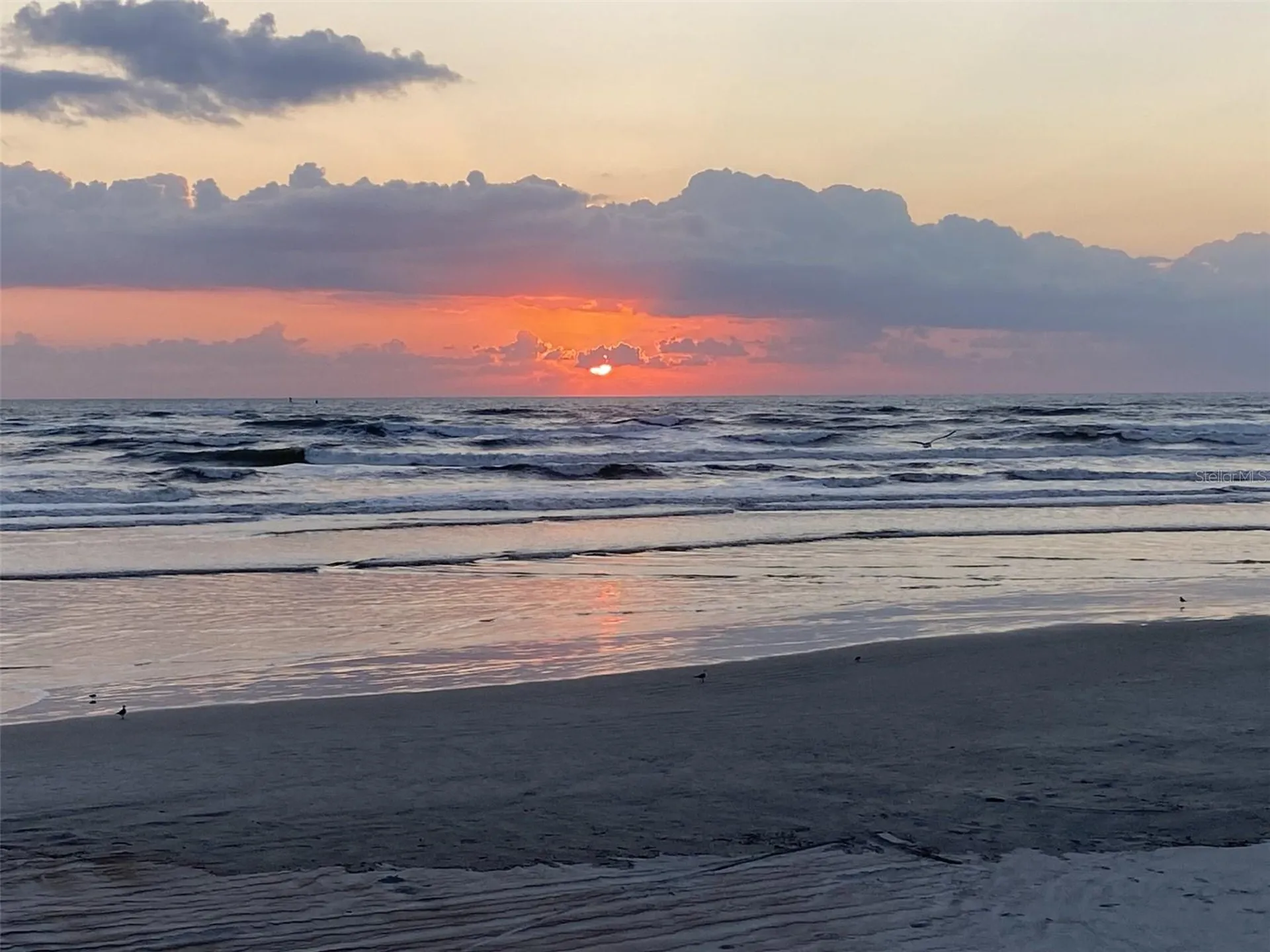 257 Minorca Beach Way New Smyrna Beach FL 32169
