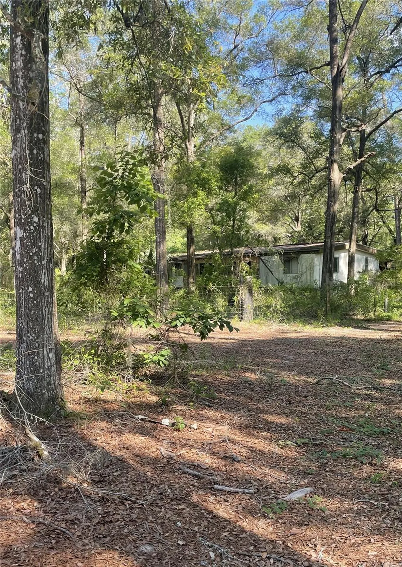 10390 SW 153rd Lane Dunnellon FL 34432