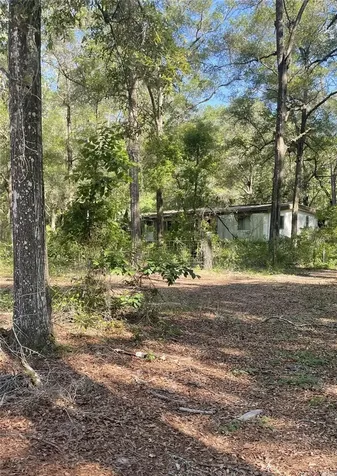 10390 SW 153rd Lane Dunnellon FL 34432