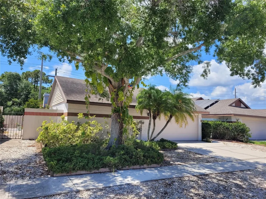7125 Silvermill Drive Tampa FL 33635