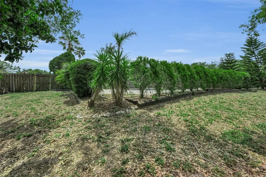 2829 Tangelo Way Palm Harbor FL 34684