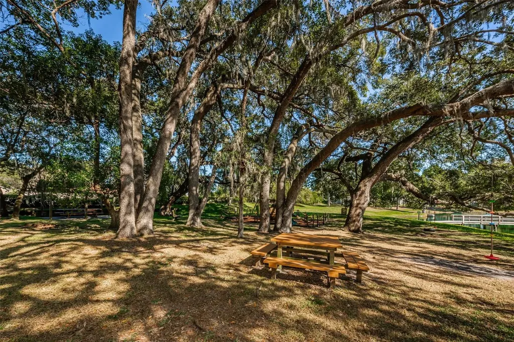 2829 Tangelo Way Palm Harbor FL 34684