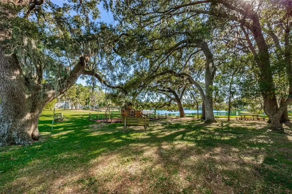 2829 Tangelo Way Palm Harbor FL 34684